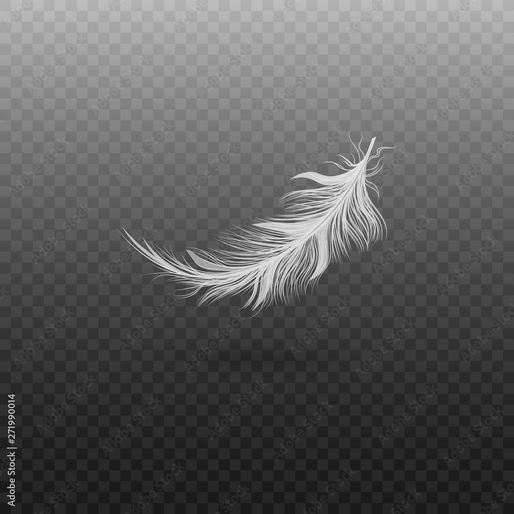 White bird feather isolated on transparent background, realistic fluffy ...