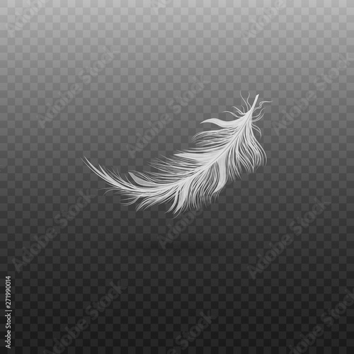 White bird feather isolated on transparent background, realistic fluffy swan plumage floating in air