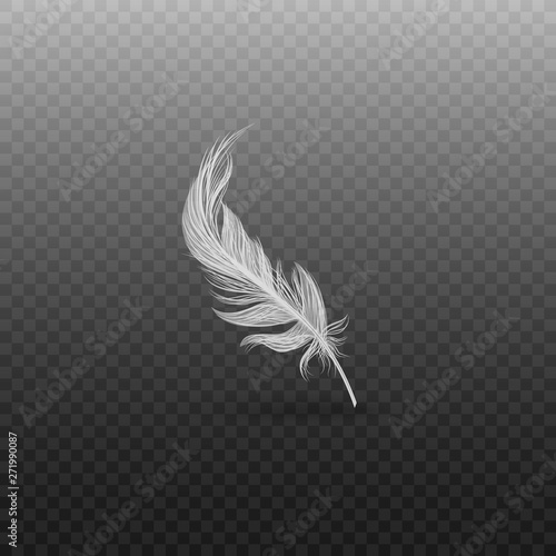Elegant white bird feather, light and fluffy swan quill standing in vertical line