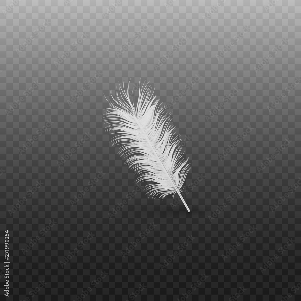 Wall Mural Soft realistic white bird feather with fluff of swan or goose on a transparent background