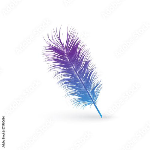 Fluffy blue and purple bird feather