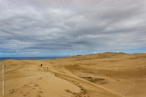 Giant sand dunes at Te-Paki on the 90 Mile beach in Northland New Zealand