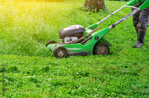 Lawn mower mows the grass in the park. Landscape design, garden work