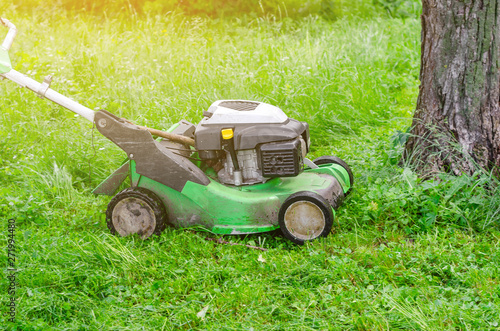 Lawn mower mows the grass in the park. Landscape design, garden work