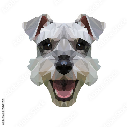 Schnauzer Terrier Canine Dog Head Happy Animal Puppy Polygon Vector Illustration