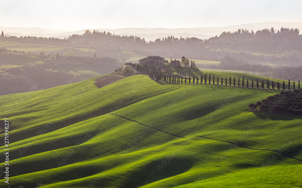 green fields and hills in Tuscany