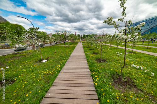 Michurinsky garden.Spring-the flowers bloom on the Apple trees.- beautiful spring flowers.Moscow.Russia.2019