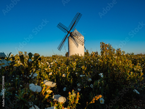 Ancient windmills photo