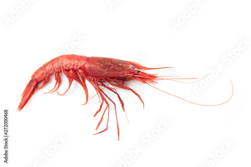 Wallpaper Mural Gambero Rosso di Mazara, Fresh Red Shrimp, Aristaeomorpha foliacea, Aristaeomorpha mediterranea, Red Prawns isolated on white background Torontodigital.ca