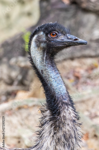 Bird park Taman Burung in Kuala Lumpur photo