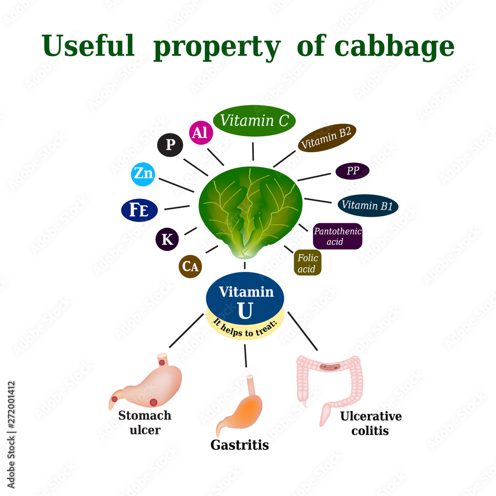 The composition of the cabbage. Useful properties Cabbage. Cabbage