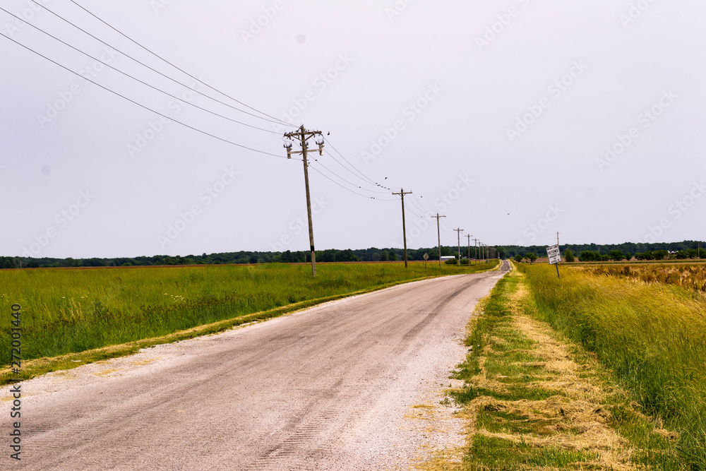 a lonely midwestern country road lined with telephone poles