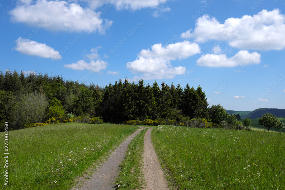 Wirtschaftsweg durch Wiesen in der Eifel mit Wald und blauem Himmel und weißen Wolken - Stockfoto 