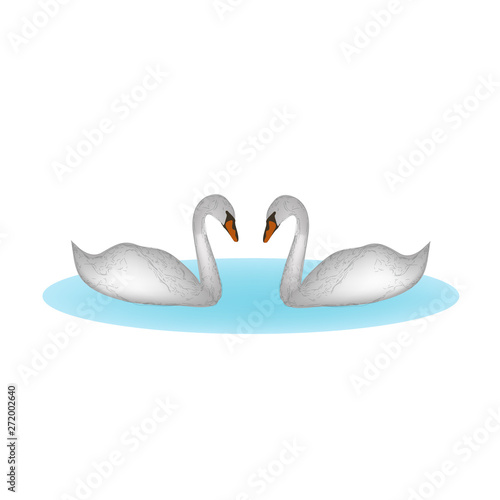 Fototapeta Naklejka Na Ścianę i Meble -  Two swans on the lake. Vector illustration  isolated background
