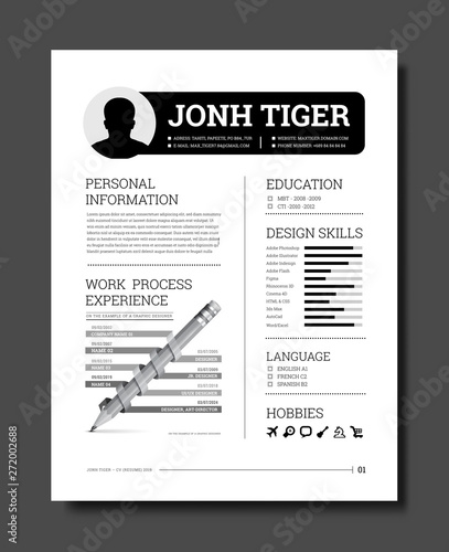 Cv resume template vector with a timeline of work, training, description of skills, hobbies and other information