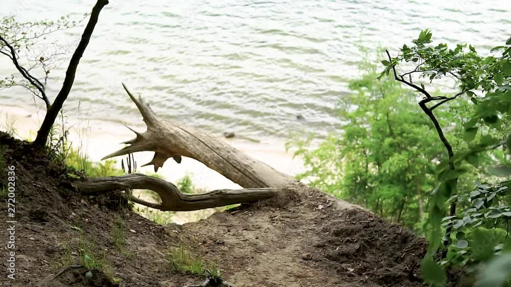 Slow motion view of seaside from clif. Beautiful space. Nature environment. Slow motion view of seaside from clif. Beautiful space. Nature environment.