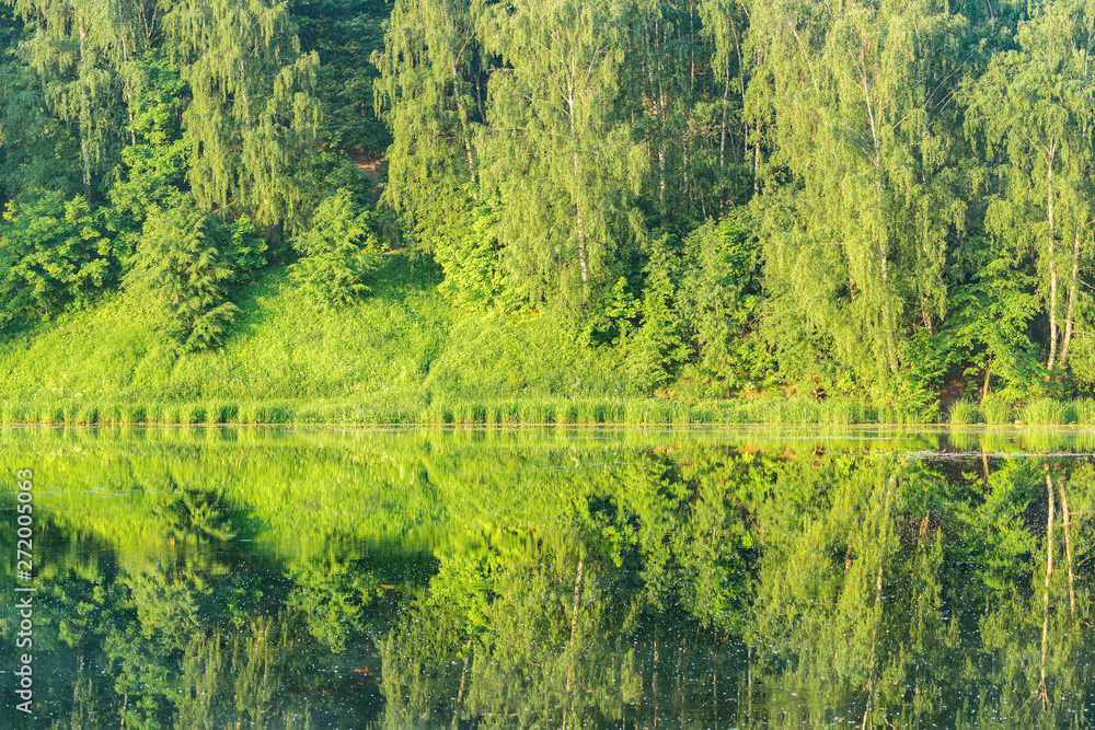 Trees by the river.