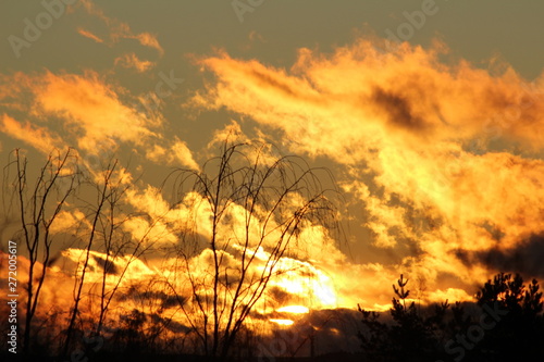 fire in the sky