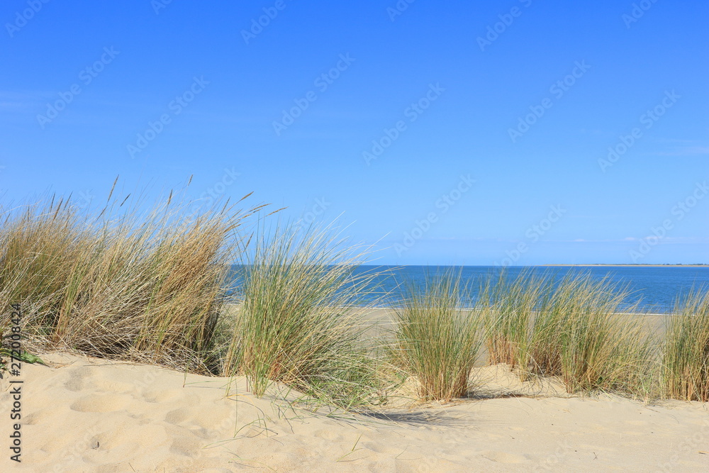 Dünen und Meer bei Renesse Dünen und Meer bei Renesse