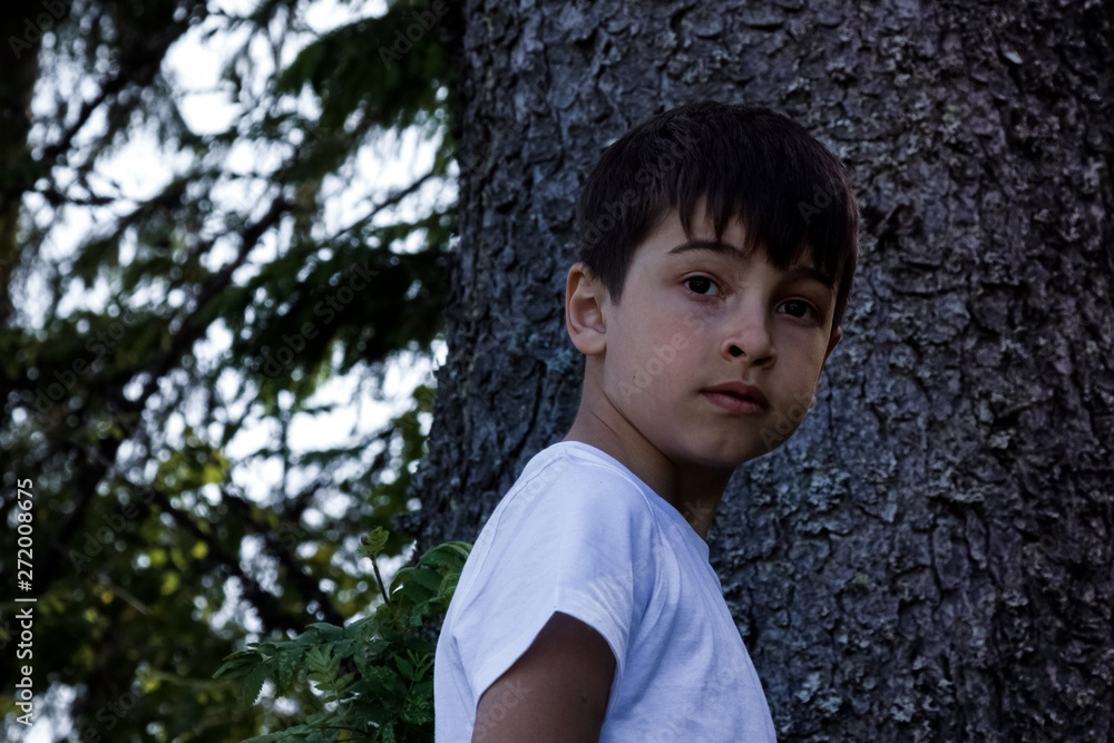 The child in the forest, escaped from the house and was lost, the heavy relations in family, trouble, disagreement, physical punishments, the concept of problems of the relation of adults and children The child in the forest, escaped from the house and was lost, the heavy relations in family, trouble, disagreement, physical punishments, the concept of problems of the relation of adults and children