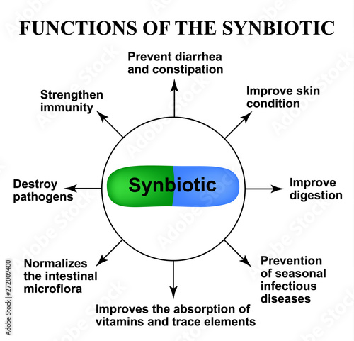 Functions of the synbiotic. Probiotic, prebiotic. Dysbacteriosis. Infographics. Vector illustration on isolated background.