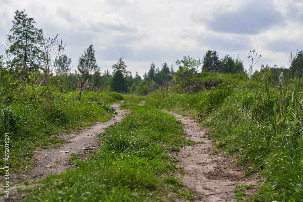 Old country dirt road in the middle of the forest. Old country dirt road in the middle of the forest.