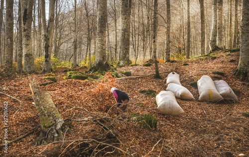  woman working in autumn forest