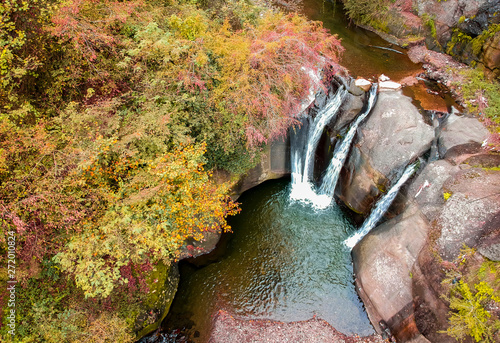 autumn leaves in a stream waterfall