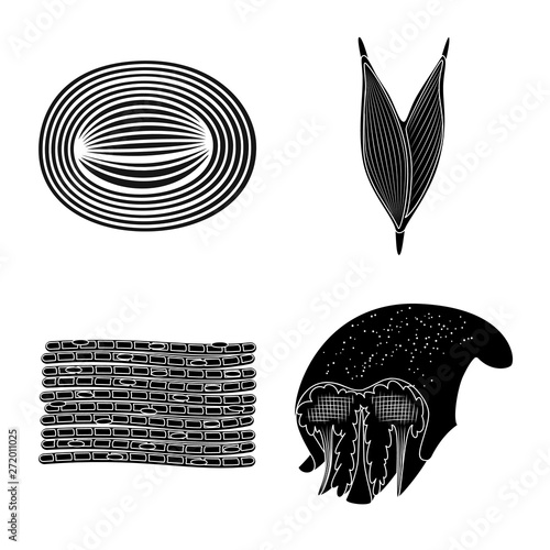 Vector illustration of human and body  logo. Collection of human and cells vector icon for stock.