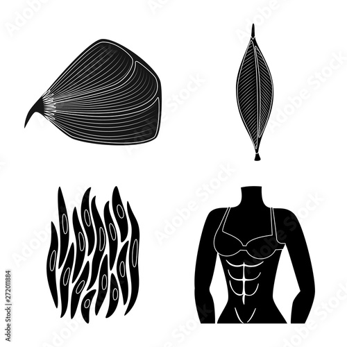 Vector illustration of human and body  icon. Collection of human and cells vector icon for stock.