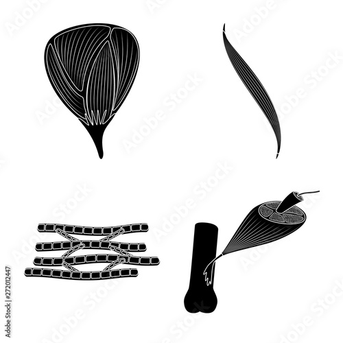 Vector illustration of human and body  icon. Set of human and cells vector icon for stock.