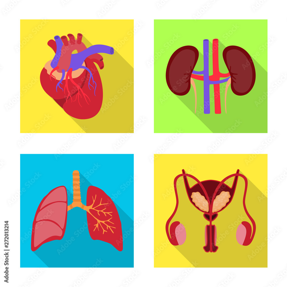 Vector design of human and health symbol. Collection of human and scientific stock vector illustration.