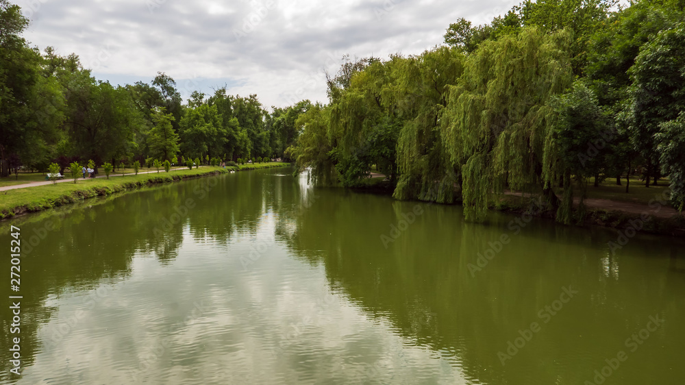 trees in the park in summer, nature landscape trees in the park in summer, nature landscape