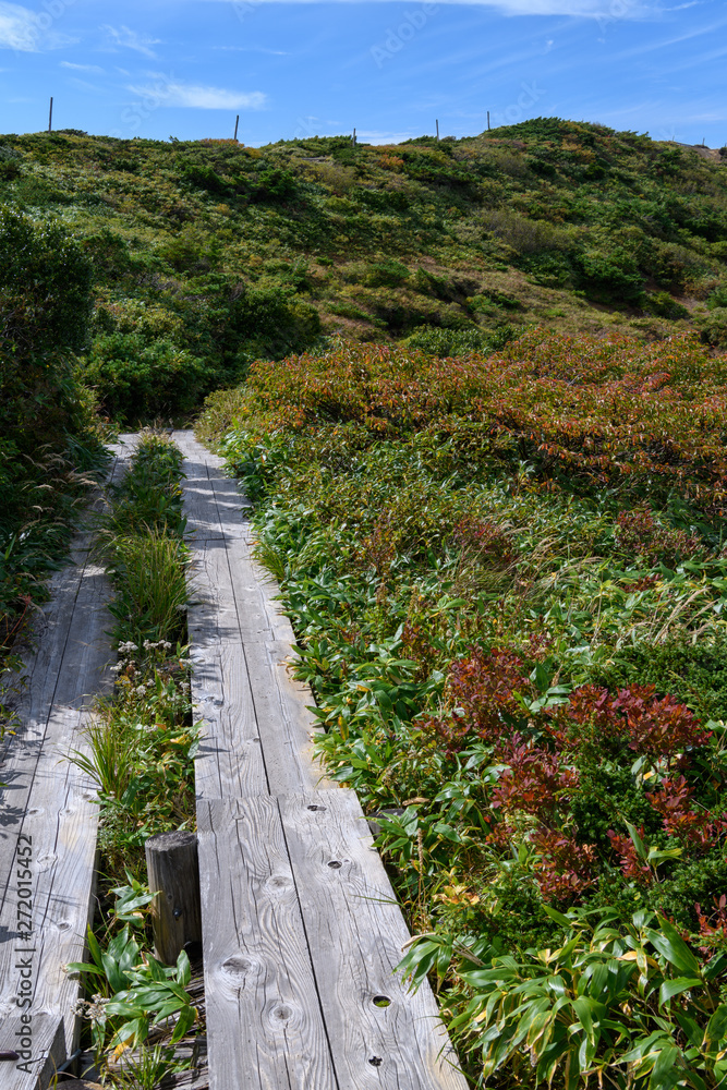 Fototapeta premium 秋の地蔵山山頂付近の登山道