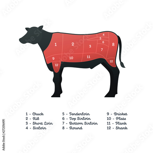 Vector beef steak diagram banner. American meat cutting. White modern style cow silhouette with markup. Red color zone highlighting, number and transcript below. Design for cafe menu, decor poster.