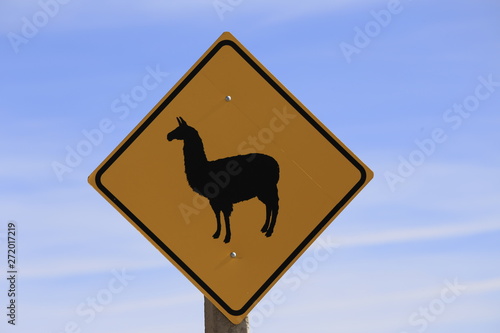 Watch out for the Lama photo