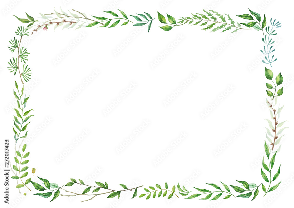 Herbal mix vector frame. Hand painted plants, branches and leaves on white background. Natural card design.