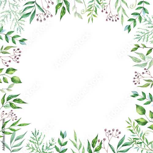 Herbal mix vector frame. Hand painted plants  branches and leaves on white background. Natural card design.