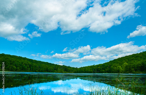 Landscape lake. Beautiful wild nature, forest. Lake with mirror reflections on sunny day.