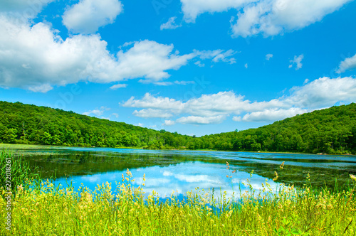 Landscape lake. Beautiful wild nature, forest. Lake with mirror reflections on sunny day.