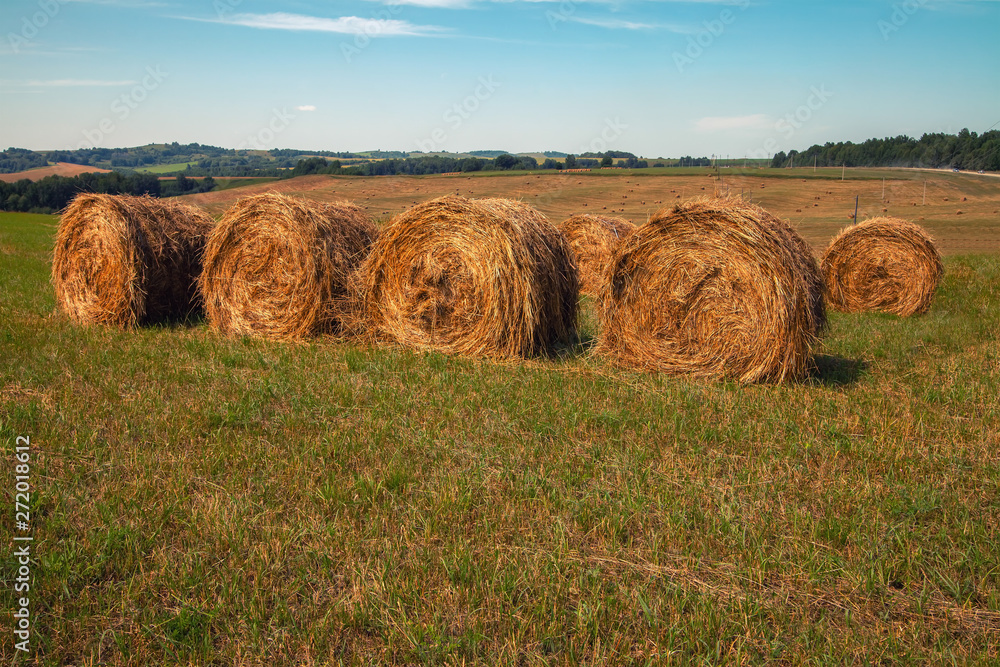 Hayfield. Hay harvesting Sunny autumn landscape. rolls of fresh dry hay in the fields. tractor collects mown grass. fields of yellow mown grass against a blue sky. Hayfield. Hay harvesting Sunny autumn landscape. rolls of fresh dry hay in the fields. tractor collects mown grass. fields of yellow mown grass against a blue sky.
