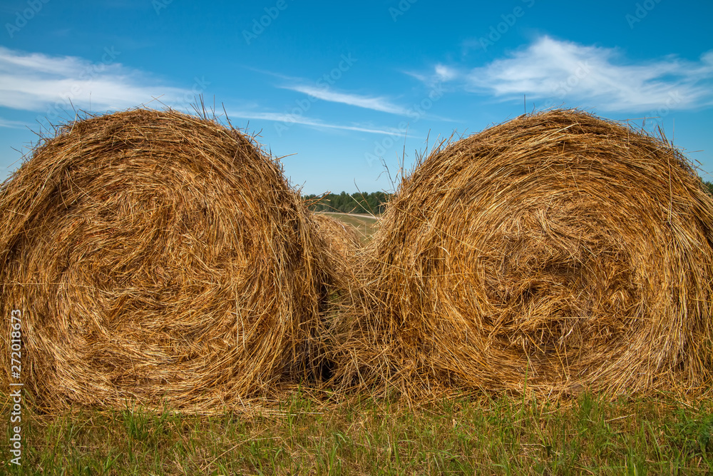 Hayfield. Hay harvesting Sunny autumn landscape. rolls of fresh dry hay in the fields. tractor collects mown grass. fields of yellow mown grass against a blue sky. Hayfield. Hay harvesting Sunny autumn landscape. rolls of fresh dry hay in the fields. tractor collects mown grass. fields of yellow mown grass against a blue sky.