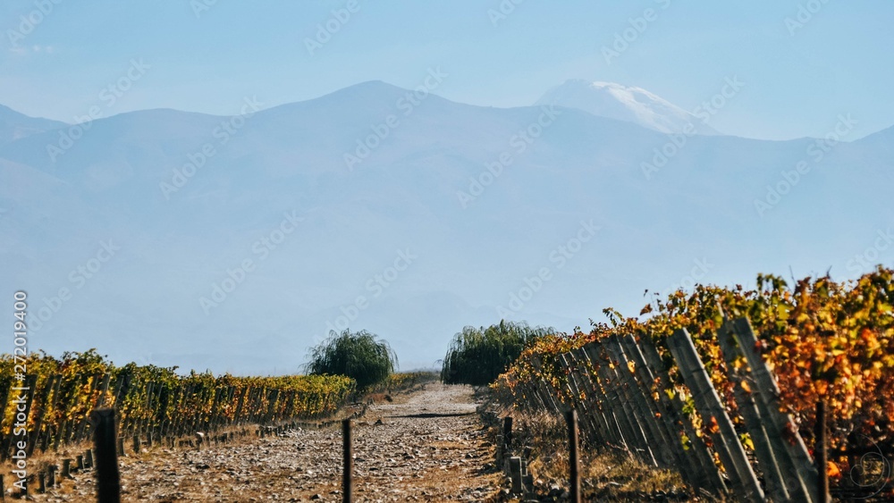 Fototapeta premium 2