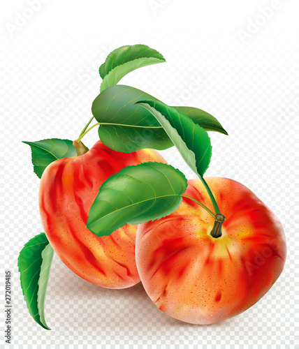 Peaches and leaves on a white background
