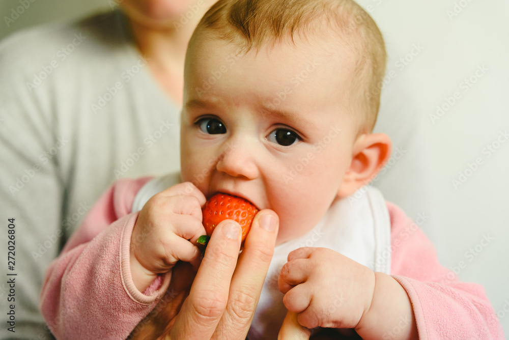 Baby of 4 months starting to try their first foods using the technique of Baby led weaning (BLW), eating a strawberry. Baby of 4 months starting to try their first foods using the technique of Baby led weaning (BLW), eating a strawberry.