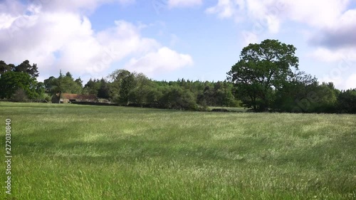 Catspaw wind ripples through long grass in a North Yorkshire  hay meadow. photo