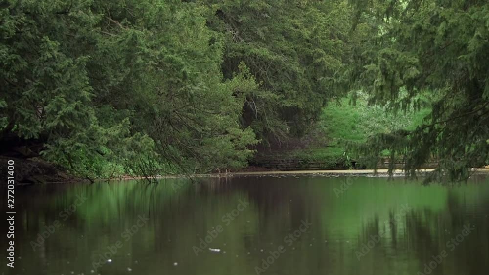 Panning shot of calm fresh water pond at Newstead Abbey in the UK. Panning shot of calm fresh water pond at Newstead Abbey in the UK.