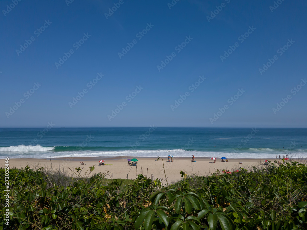 Itacoatiara beach and its restinga, preserved, with lots of green, blue waters, surf waves, clear sands, in Niteroi, RJ, Brazil.