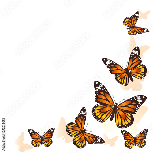 Canvas Print Beautiful butterfly flying in a circle background. Vector.
