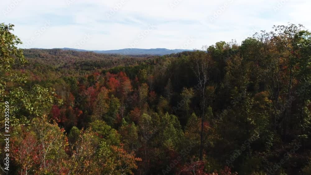 Wide aerial, Daniel Boone National Forest in autumn Wide aerial, Daniel Boone National Forest in autumn